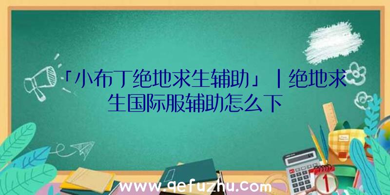 「小布丁绝地求生辅助」|绝地求生国际服辅助怎么下